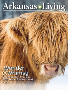 Current issue of Arkansas Living Magazine 